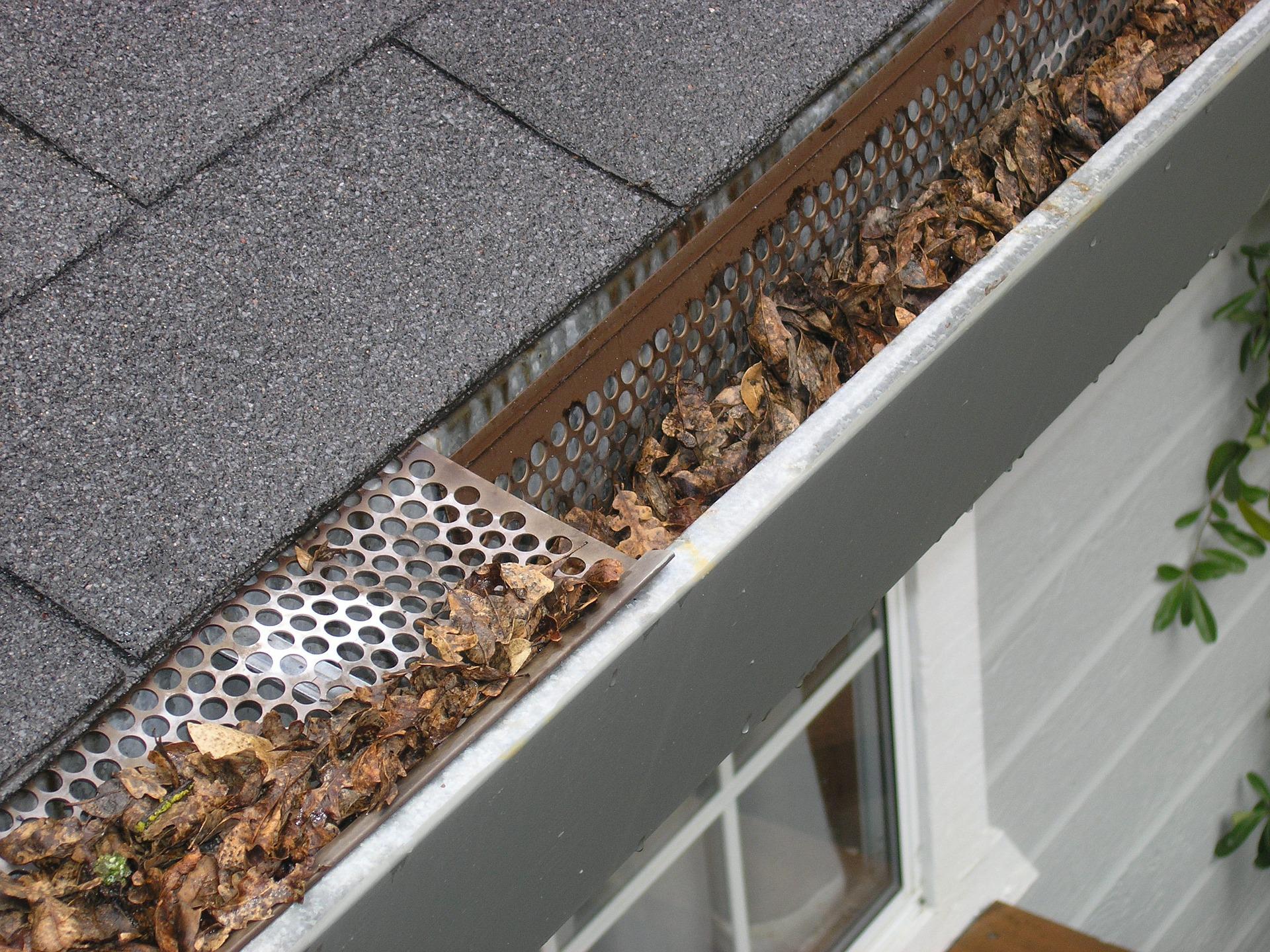 Clean your gutters.